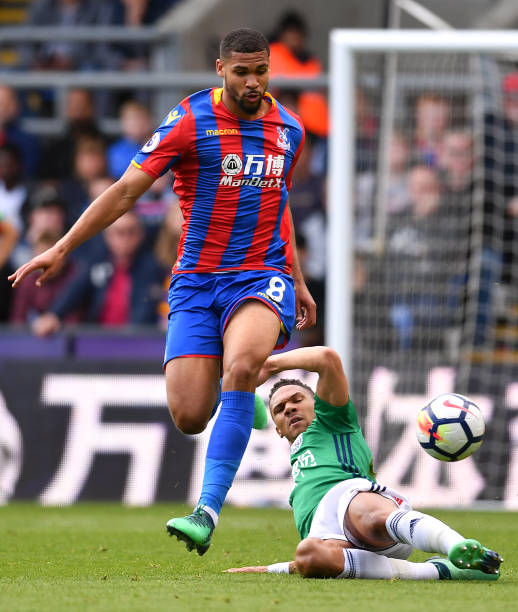 迷饱含期待 迷饱含期待