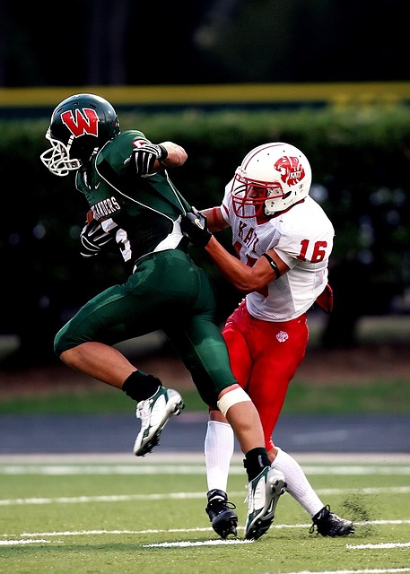 的成功并非 的成功并非